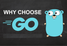 why-choose-go